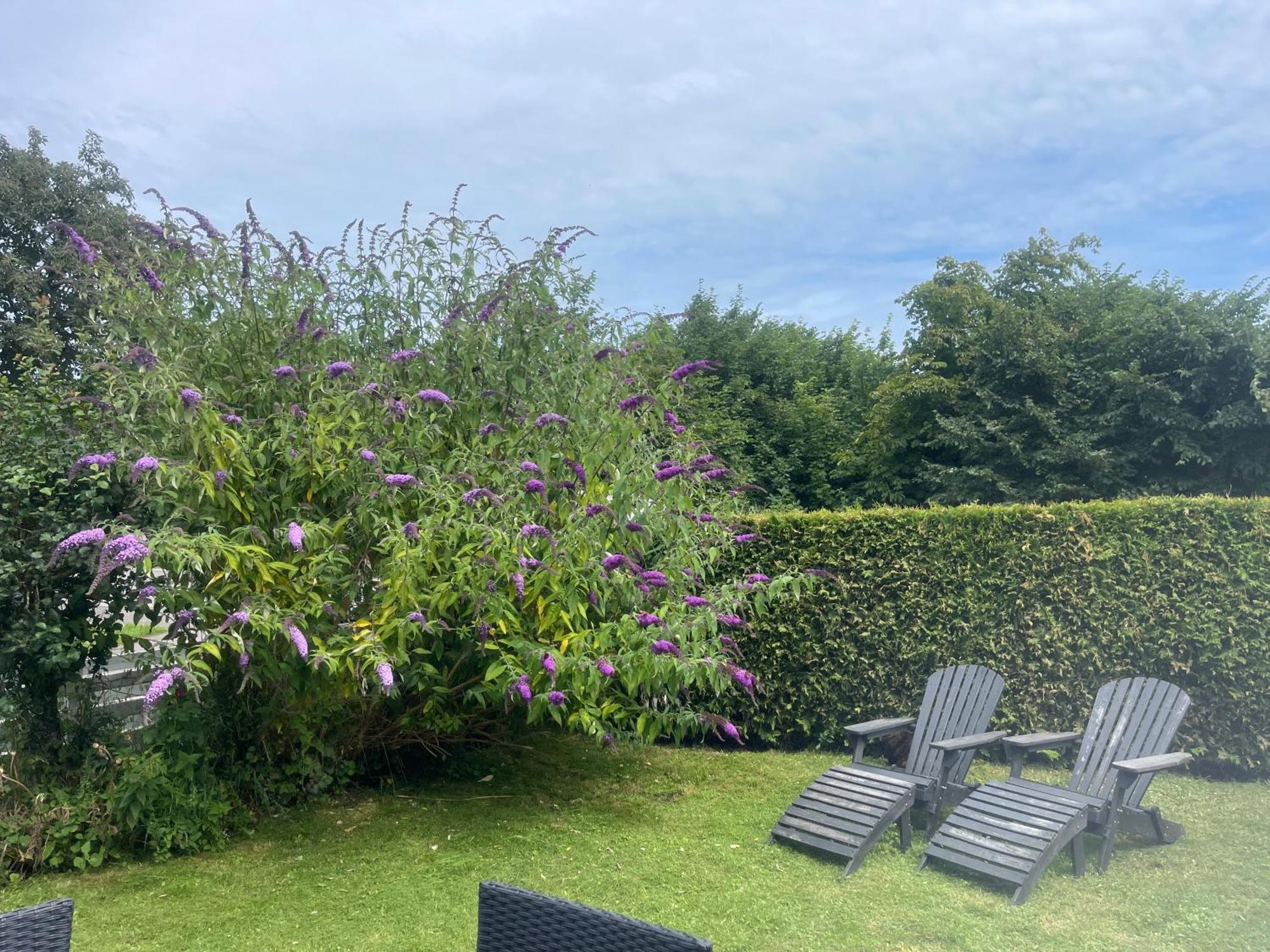 Heidis Residence-Sandkaas, Bornholm Allinge-Sandvig Eksteriør billede